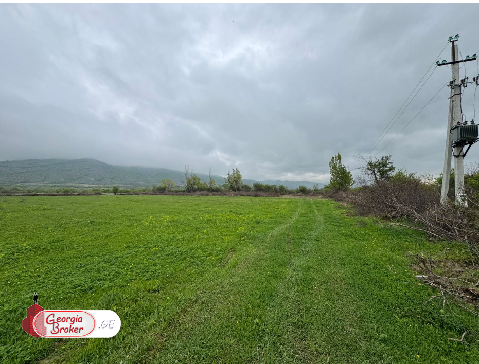 agricultural land for sale