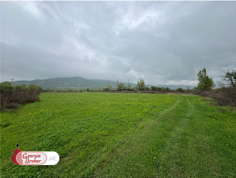 agricultural land for sale