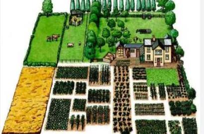 agricultural land for sale