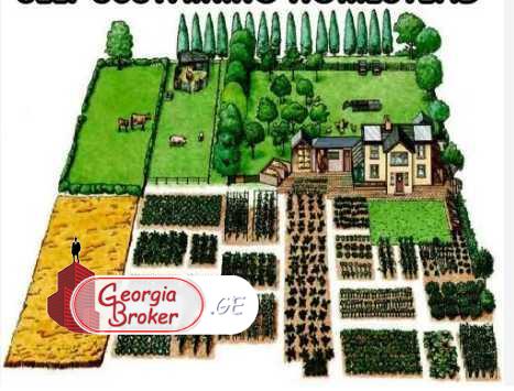 agricultural land for sale