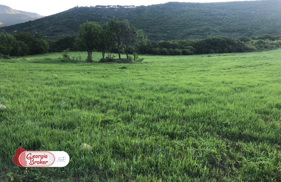 agricultural land for sale