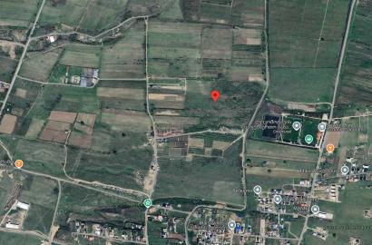 agricultural land for sale