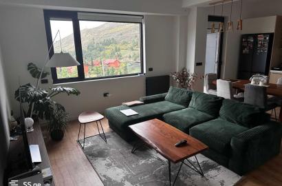 nearly repaired 2-room apartment for sale