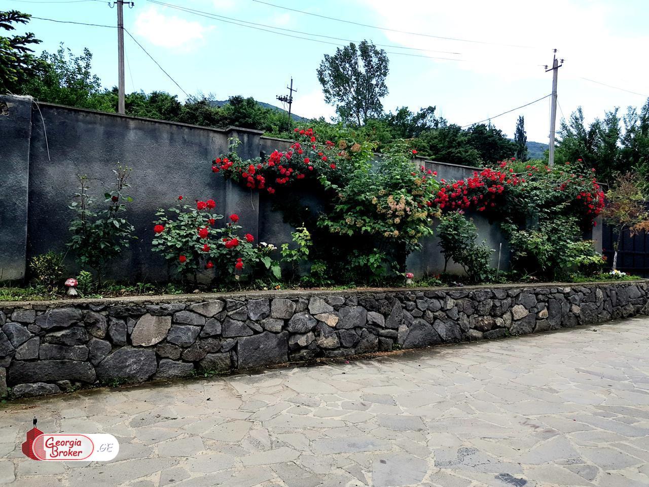 ქირავდება ახალი გარემონტებული 10 ოთახიანი  აგარაკი საგურამოში