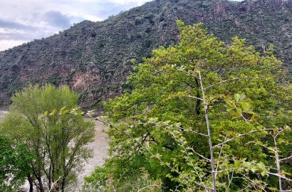 new build 5-room house for sale