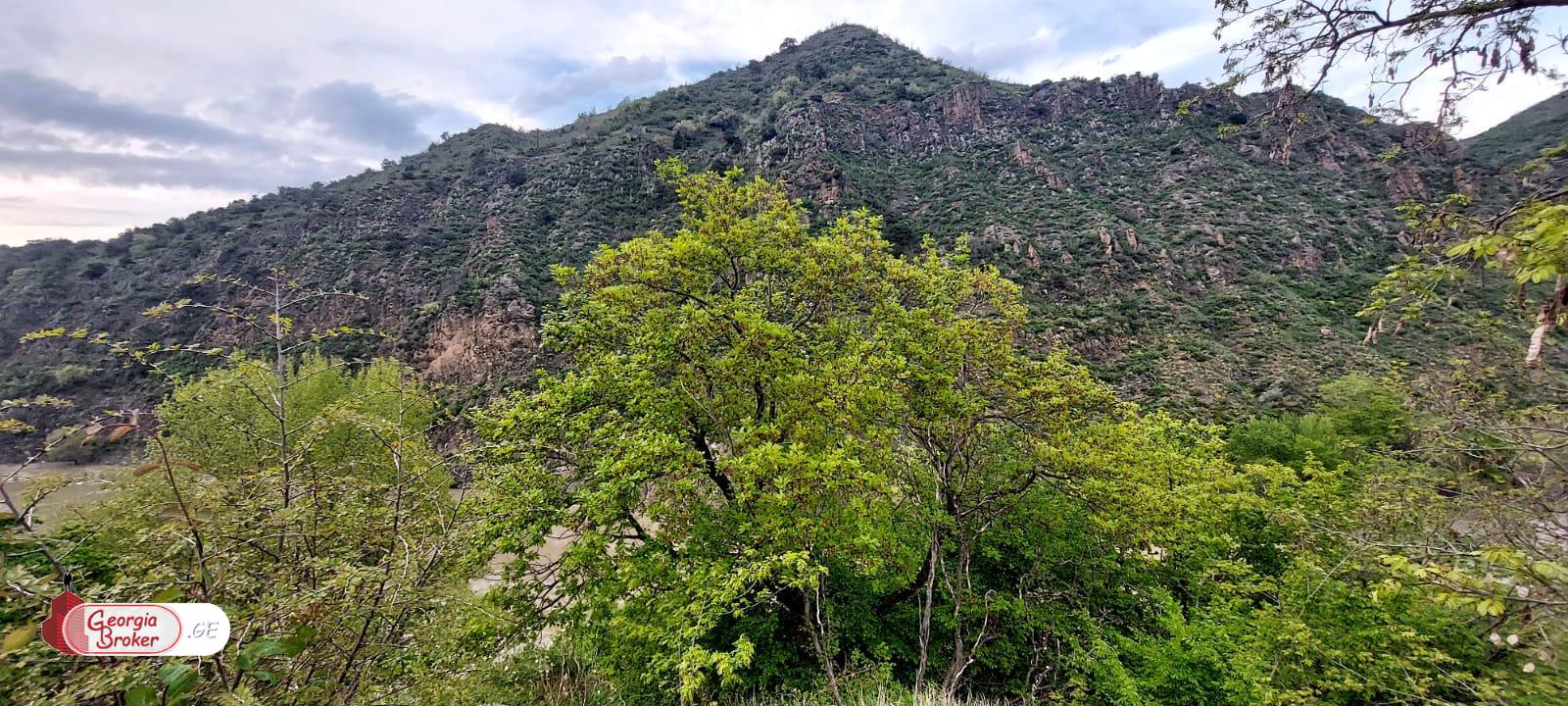 იყიდება ახალი აშენებული 5 ოთახიანი აგარაკი არმაზში