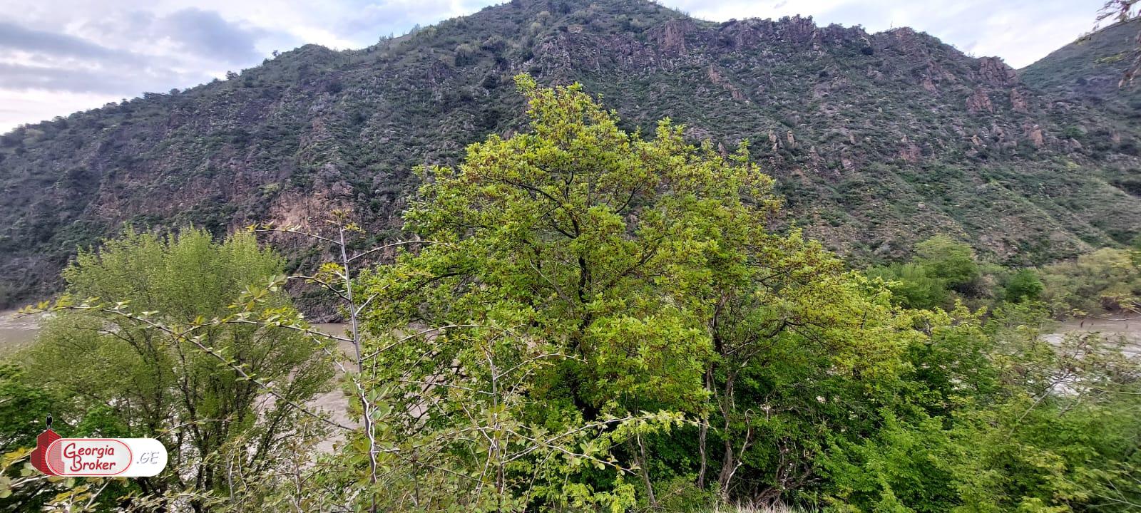 იყიდება ახალი აშენებული 5 ოთახიანი აგარაკი არმაზში