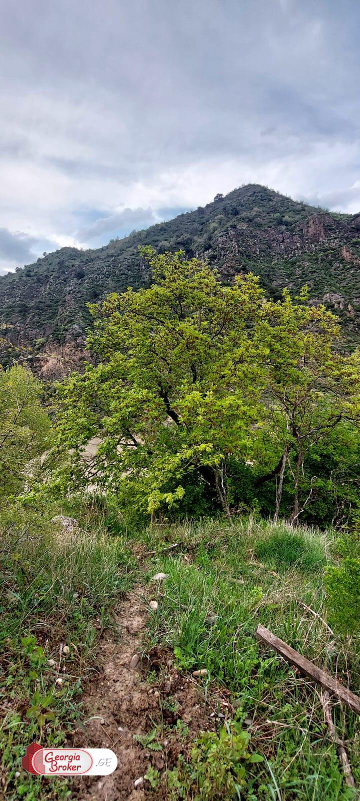 იყიდება ახალი აშენებული 5 ოთახიანი აგარაკი არმაზში