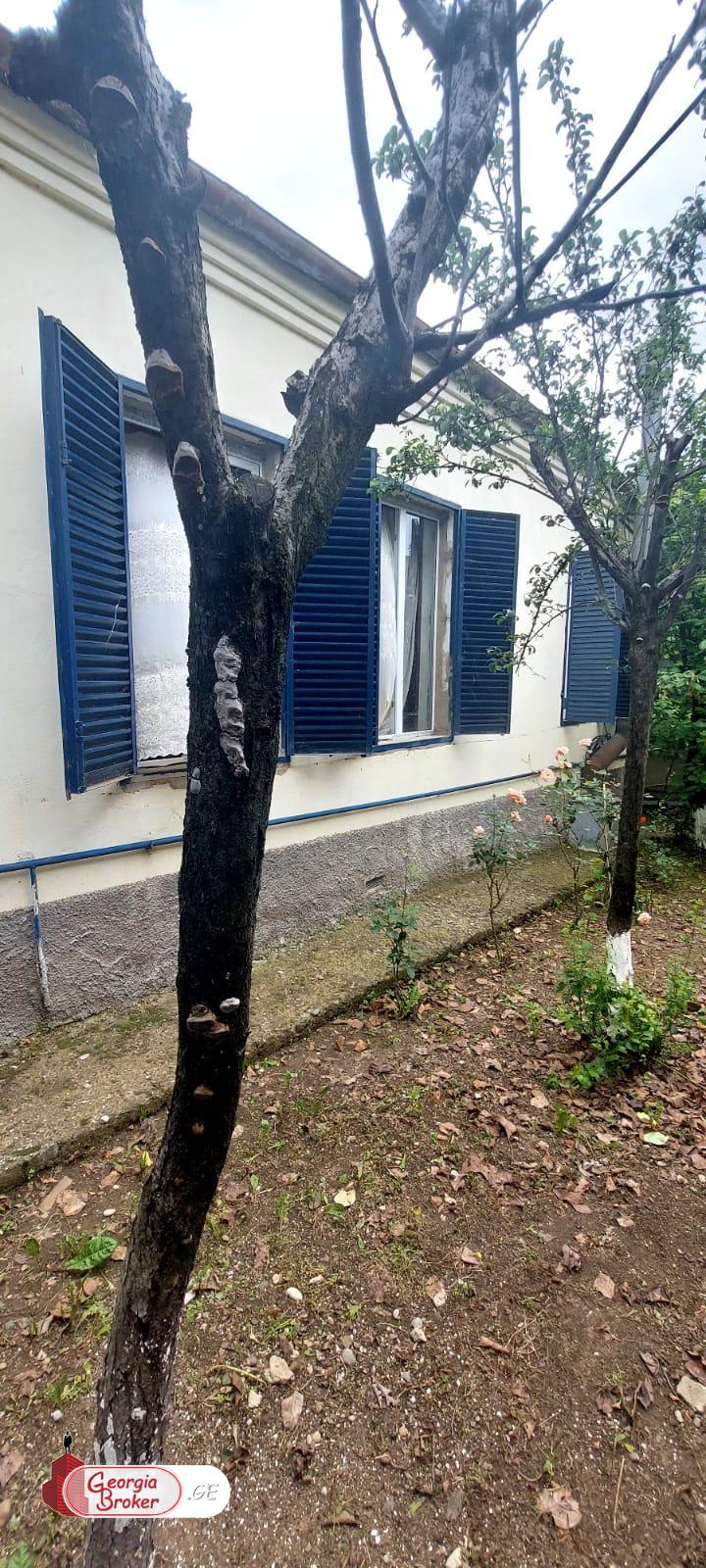 nearly repaired 7-room house for sale