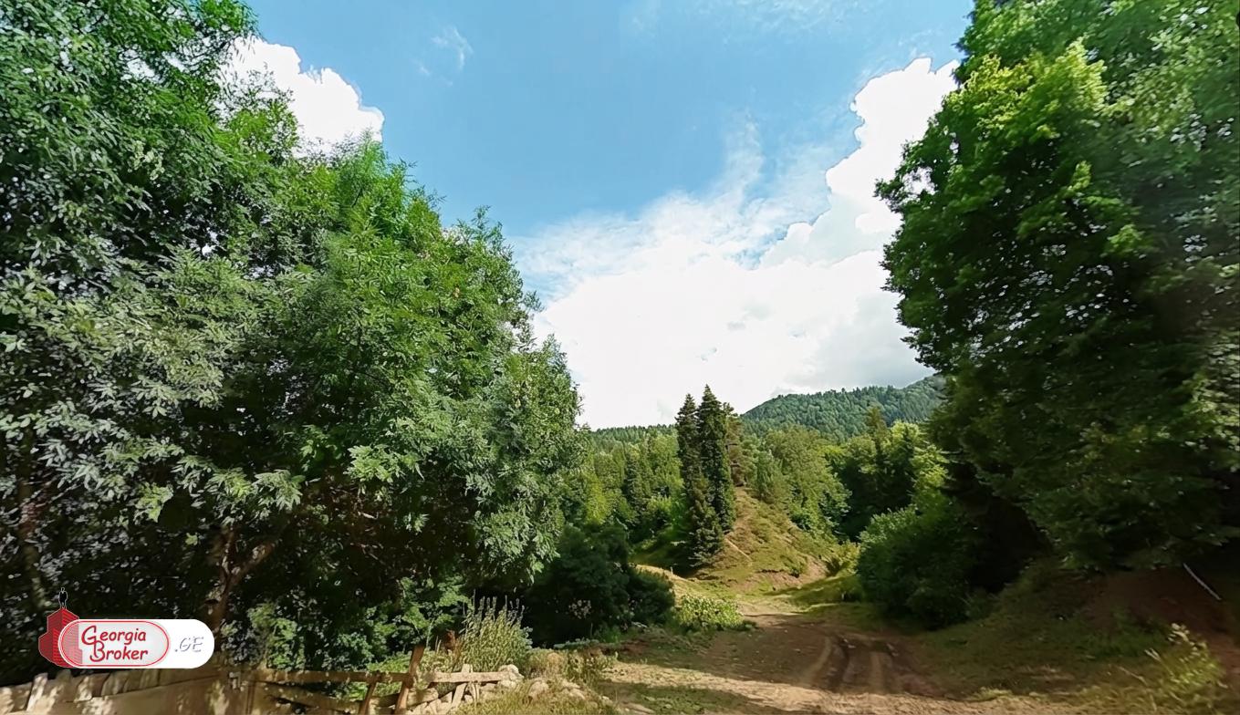 იყიდება  სასოფლო სამეურნეო მიწის ნაკვეთი  ბორჯომში