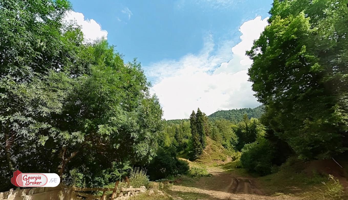 იყიდება  სასოფლო სამეურნეო მიწის ნაკვეთი  ბორჯომში