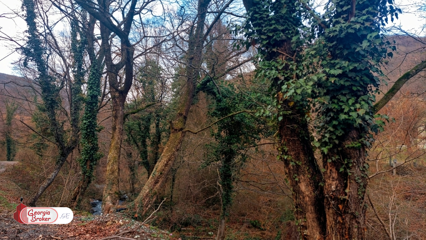 new build 8-room house for sale