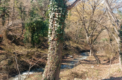 new build 8-room house for sale