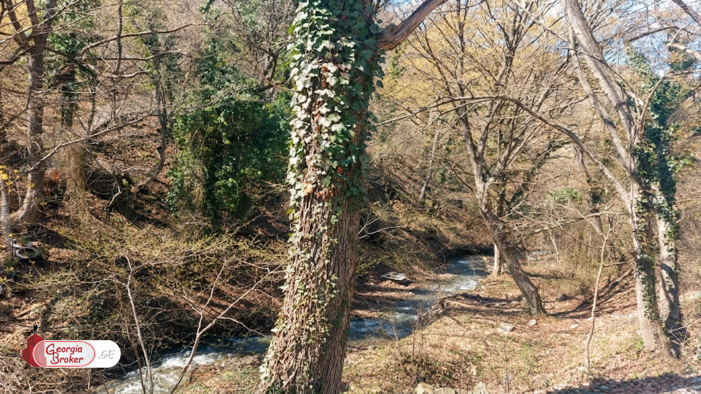 new build 8-room house for sale