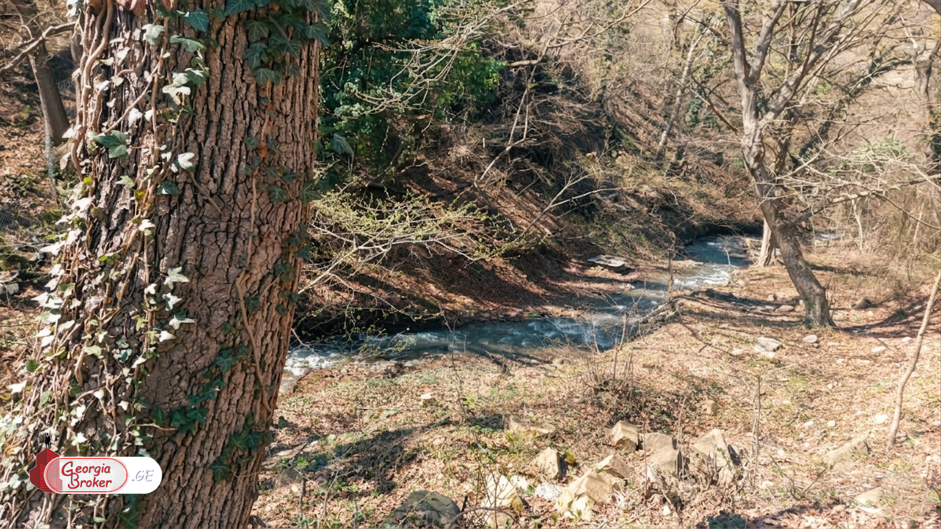 new build 8-room house for sale