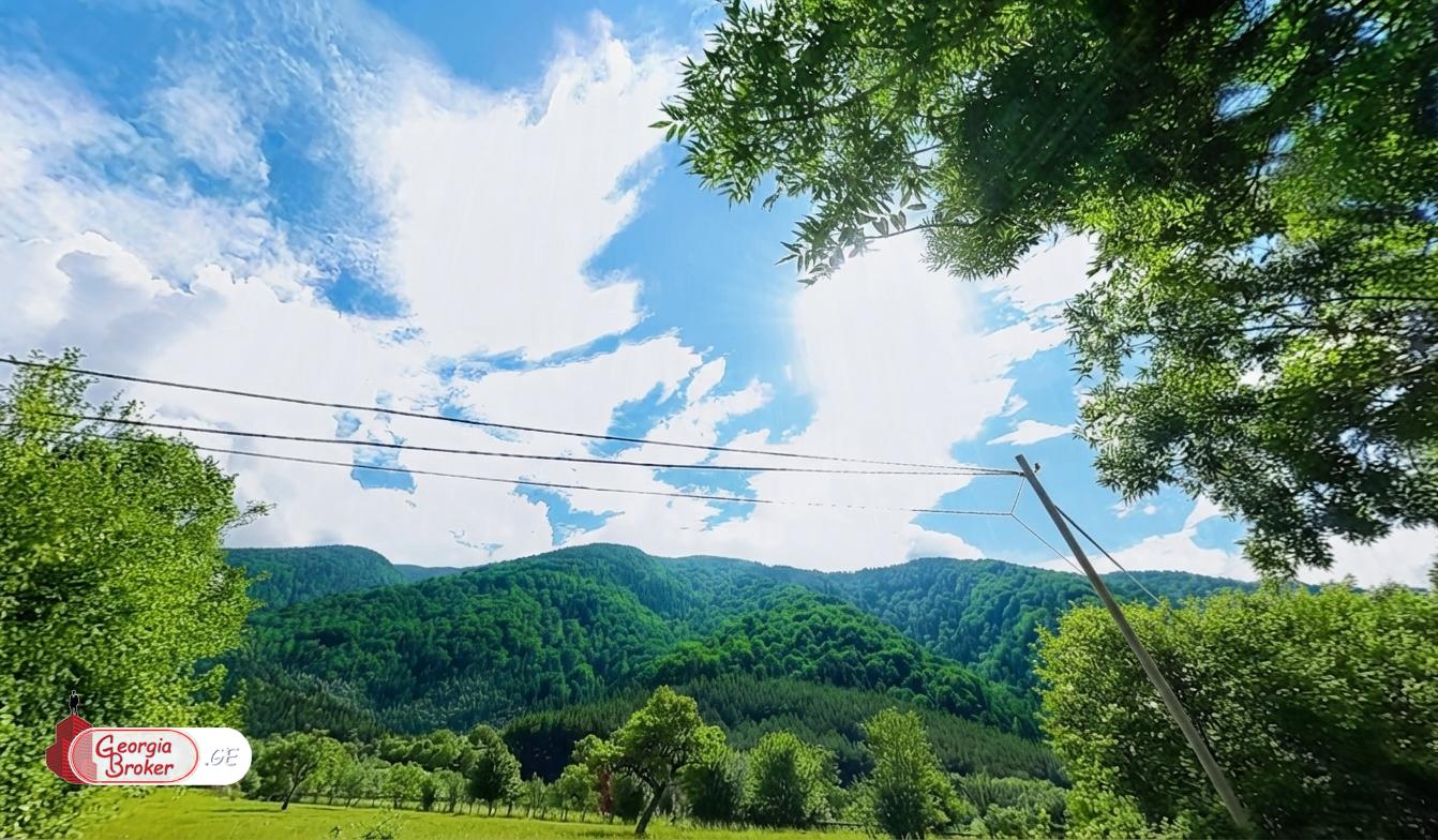იყიდება  სასოფლო სამეურნეო მიწის ნაკვეთი  ბორჯომში