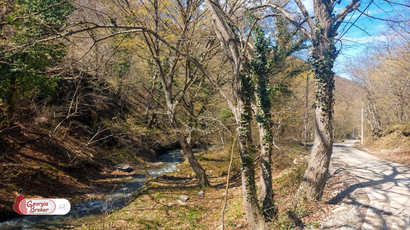 new build 8-room house for sale