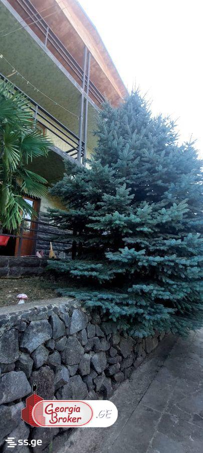 продается дом с новым ремонтом 10-комнат